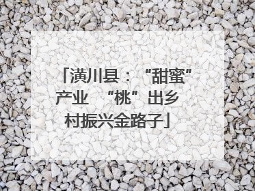 潢川县：“甜蜜”产业  “桃”出乡村振兴金路子