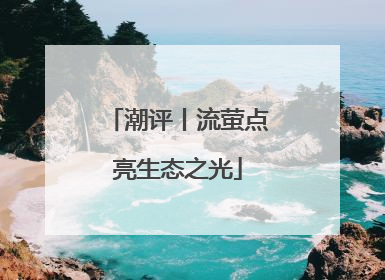潮评丨流萤点亮生态之光
