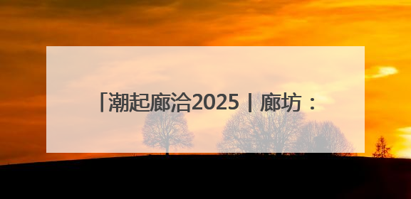 潮起廊洽2025丨廊坊：链接京津冀 面向全世界