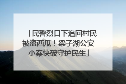 民警烈日下追回村民被盗西瓜！梁子湖公安小案快破守护民生