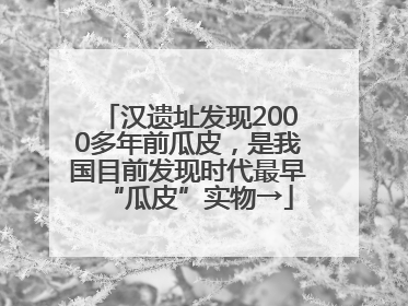 汉遗址发现2000多年前瓜皮，是我国目前发现时代最早“瓜皮”实物→
