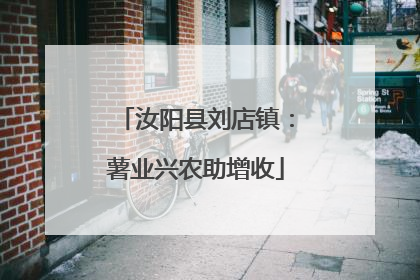 汝阳县刘店镇：薯业兴农助增收