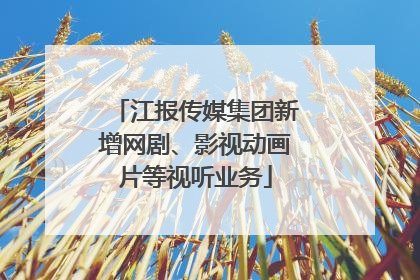 江报传媒集团新增网剧、影视动画片等视听业务
