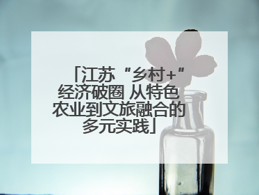 江苏“乡村+”经济破圈 从特色农业到文旅融合的多元实践