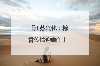江苏兴化：粽香传情迎端午