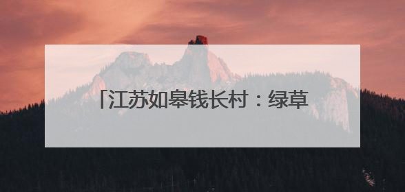 江苏如皋钱长村：绿草坪铺就乡村振兴多彩路