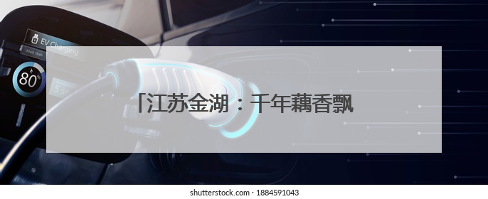 江苏金湖：千年藕香飘万里 荷韵悠悠引客来