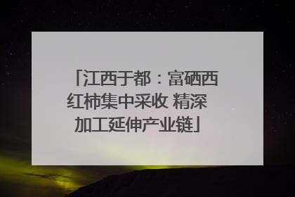 江西于都：富硒西红柿集中采收 精深加工延伸产业链