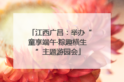 江西广昌：举办“童享端午·粽趣横生”主题游园会