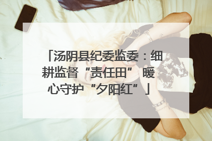 汤阴县纪委监委：细耕监督“责任田” 暖心守护“夕阳红”