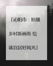 沁阳市：扮靓乡村新画卷 绘就宜居好风光