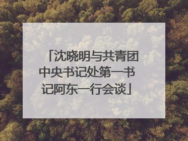 沈晓明与共青团中央书记处第一书记阿东一行会谈