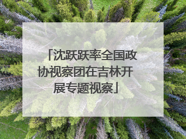 沈跃跃率全国政协视察团在吉林开展专题视察
