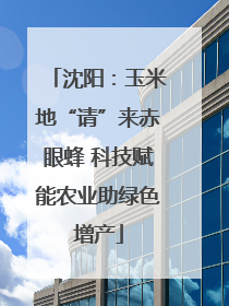 沈阳：玉米地“请”来赤眼蜂 科技赋能农业助绿色增产