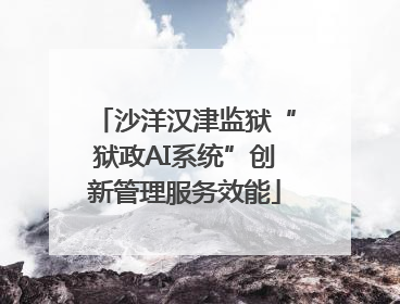 沙洋汉津监狱“狱政AI系统”创新管理服务效能
