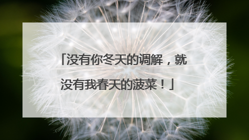 没有你冬天的调解，就没有我春天的菠菜！