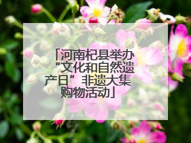 河南杞县举办“文化和自然遗产日”非遗大集购物活动