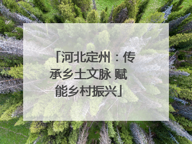 河北定州：传承乡土文脉 赋能乡村振兴