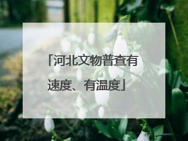 河北文物普查有速度、有温度