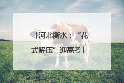 河北衡水：“花式解压”迎高考