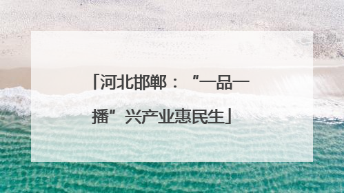河北邯郸：“一品一播”兴产业惠民生