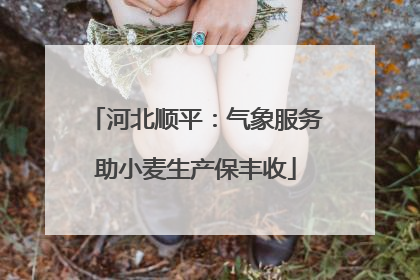 河北顺平：气象服务助小麦生产保丰收