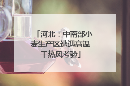 河北：中南部小麦生产区遭遇高温干热风考验