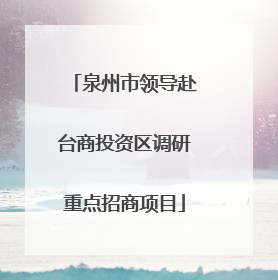 泉州市领导赴台商投资区调研重点招商项目