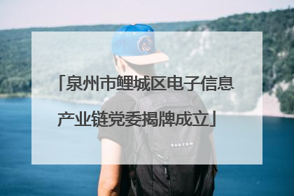 泉州市鲤城区电子信息产业链党委揭牌成立