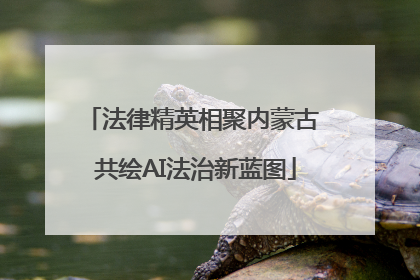 法律精英相聚内蒙古 共绘AI法治新蓝图