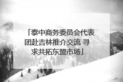 泰中商务委员会代表团赴吉林推介交流 寻求共拓东盟市场