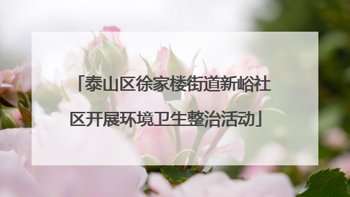 泰山区徐家楼街道新峪社区开展环境卫生整治活动