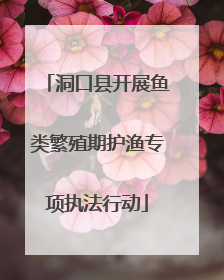 洞口县开展鱼类繁殖期护渔专项执法行动