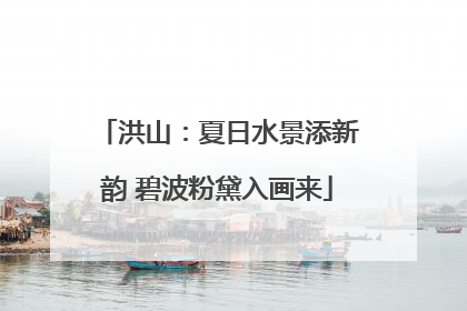 洪山：夏日水景添新韵 碧波粉黛入画来