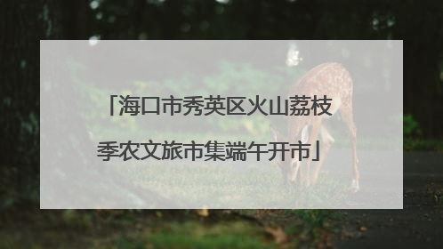 海口市秀英区火山荔枝季农文旅市集端午开市