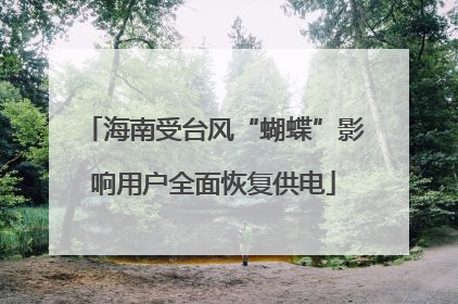 海南受台风“蝴蝶”影响用户全面恢复供电