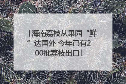 海南荔枝从果园“鲜”达国外 今年已有200批荔枝出口