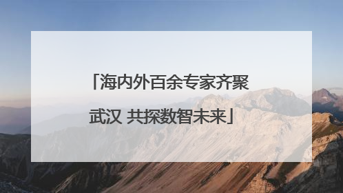 海内外百余专家齐聚武汉 共探数智未来