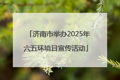 济南市举办2025年六五环境日宣传活动