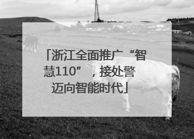 浙江全面推广“智慧110”，接处警迈向智能时代
