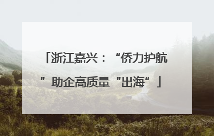 浙江嘉兴：“侨力护航”助企高质量“出海”