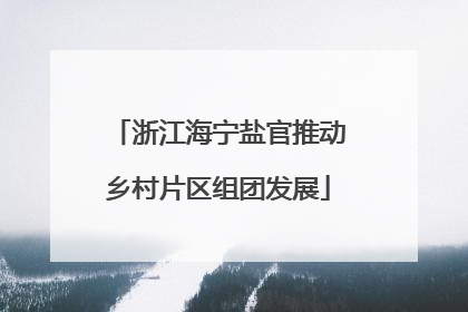 浙江海宁盐官推动乡村片区组团发展