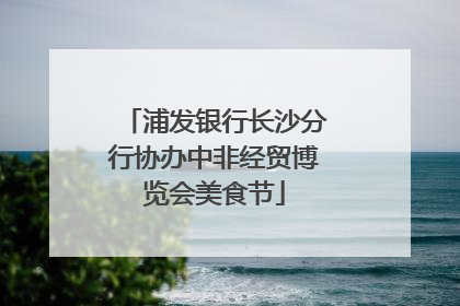 浦发银行长沙分行协办中非经贸博览会美食节