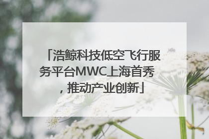 浩鲸科技低空飞行服务平台MWC上海首秀，推动产业创新