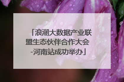 浪潮大数据产业联盟生态伙伴合作大会-河南站成功举办