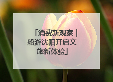 消费新观察｜船游沈阳开启文旅新体验
