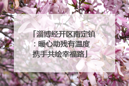 淄博经开区南定镇：暖心助残有温度 携手共绘幸福路