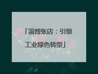 淄博张店：引领工业绿色转型