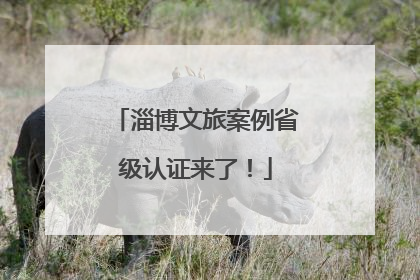 淄博文旅案例省级认证来了！