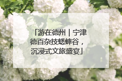 游在德州｜宁津德百杂技蟋蟀谷，沉浸式文旅盛宴